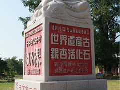 -千年银杏谷文化旅游区