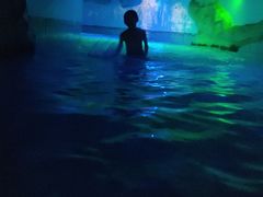 -重庆海昌加勒比海水世界