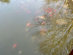 -太阳宫公园
