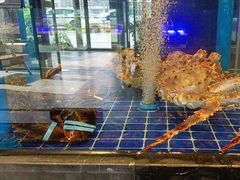 -百富源·海鲜辽菜(浑河堡店)