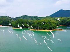 -广州市流溪河国家森林公园