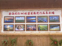 -北海金海湾红树林生态旅游区