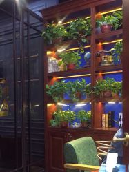 -东晨宝格丽品质造型