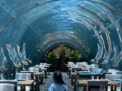 -海棠湾洲际-涛·海底餐厅·美人鱼·自助餐·海底隧道