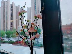 -豆花姐烂豆花火锅(水屯北路恒大滨河店)