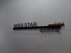 -MISS STAR·半永久纹眉·发际线·美瞳线