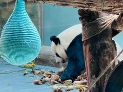 -青藏高原野生动物园
