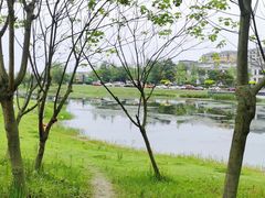 -两河城市森林公园