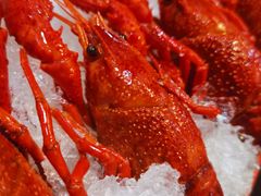 -虾弄弄海派小龙虾·牛羊蝎子火锅