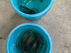 -小象钓虾·营地烧烤(洛溪店)