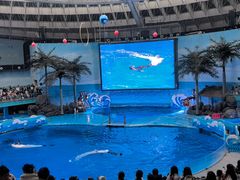 -海合安成都极地海洋公园
