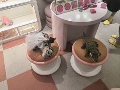 -奈尔宝·儿童乐园·亲子餐厅(华采天地店)