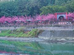 -望江楼公园