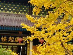 -九华山风景区
