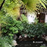 在古城里面的巷子里，跟着导航也容易找到