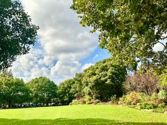 -上海共青森林公园