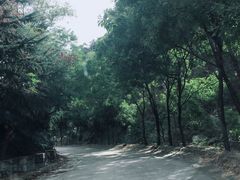 -沂蒙山旅游区云蒙景区(蒙山国家森林公园)