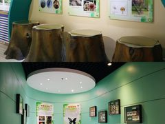 -上海昆虫博物馆