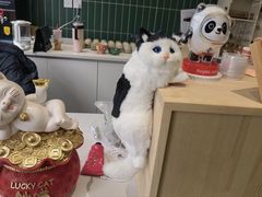 -何适山庄 ·可团建(水长城P2停车场店)