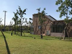 -上海长兴岛郊野公园