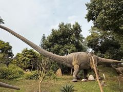 -自贡恐龙博物馆