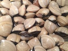 海蚬-大良毋米粥(锦龙路总店)