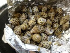 （盐焗）花螺-新享乐海鲜(翠华路店)