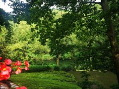 -阿哈湖国家湿地公园