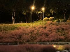 -牛岗山公园