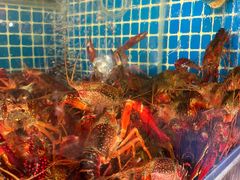 -熊记虾王·小龙虾(东晓南店)