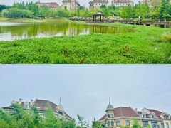 -九龙湖公园