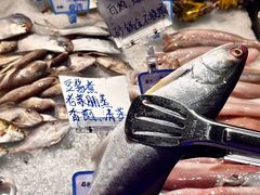 -潮澎派·潮汕菜大排档(南较西路店)