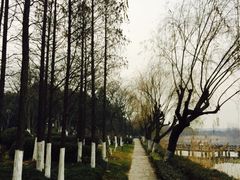华东疗养院-上海市保健医疗中心(华东疗养院)