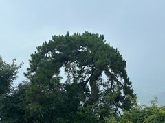 -终南山南五台景区