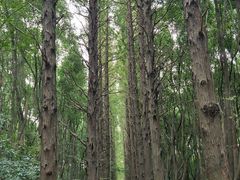 -同里国家湿地公园
