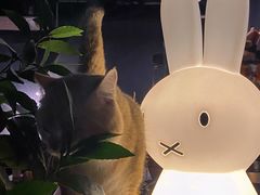 -咖法森林·咖啡  酒吧(天河店)