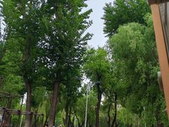 -建国公园