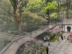 -墨池公园