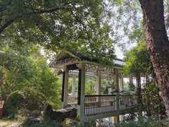 -合肥三国新城遗址公园