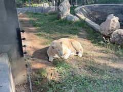 -石家庄市动物园