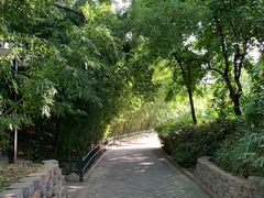 -皇家御河游(紫御湾码头)