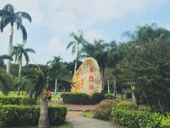 -万绿园