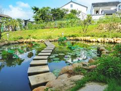 -苏州太湖国家湿地公园