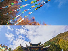 -卧龙自然保护区