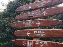 -金鸡湖桃花岛