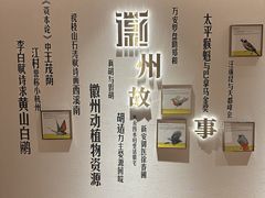 -中国徽菜·徽商故里(广安门店)