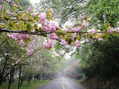 -石峰公园