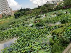 -龙环葡韵住宅式博物馆