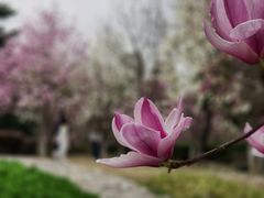 -白塘生态植物园