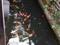 -优之名鹅城